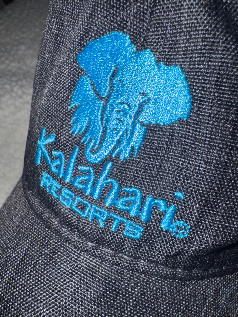 Kalahari- NWOT Charcoal Baseball Cap with Teal Elephant Embroidery - Picture 5 of 12